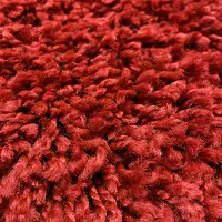 Пухнастий килим Plumis Lux RED 6365A